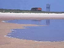 漢堡北海淺灘國家公園 漢堡北海淺灘國家公園