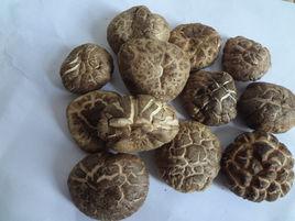 脫水香菇 脫水香菇