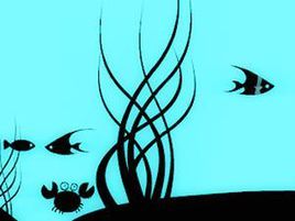 小黑魚3 小黑魚3