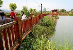 農村改革發展綜合試驗區