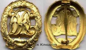 金質不帶萬字DRL體能獎章，非鏤空版。