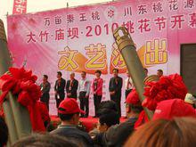 廟壩鎮[四川省達州市大竹縣廟壩鎮]