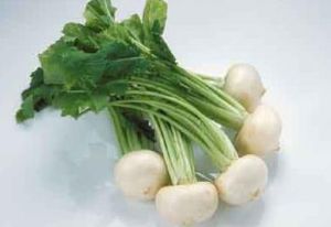 如皋蘿蔔