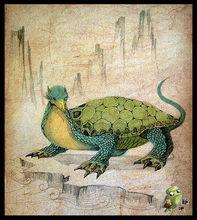 旋龜[爬行綱動物]