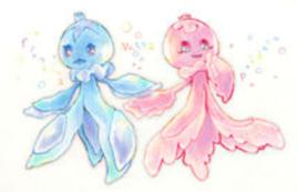 漂浮水母 漂浮水母