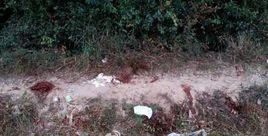 10·31上饒小學生被砍案 10·31上饒小學生被砍案