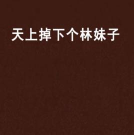 天上掉下個林妹子 天上掉下個林妹子