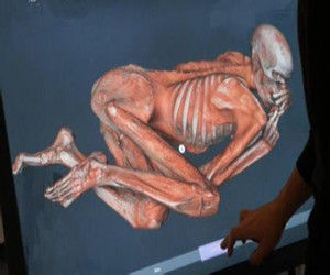 虛擬法醫 虛擬法醫