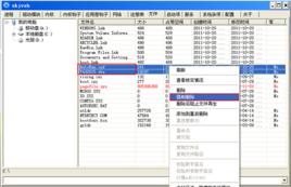隨機數字進程病毒 隨機數字進程病毒