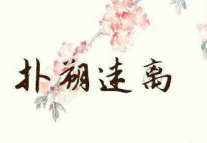 撲朔迷離[漢語成語]