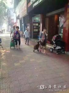 5&middot;14樂山鹽酸泄漏事故