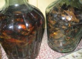 芎勞辛夷酒 芎勞辛夷酒