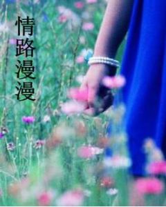 情路漫漫 情路漫漫