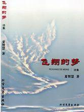 飛翔的夢[電影作品]