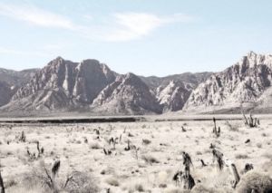 昔日的賀蘭山東麓