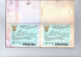 南非商務簽證