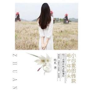 小心愛的磚塊砸中你的頭