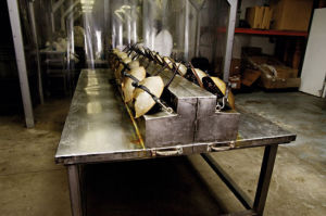 　3.放在特殊架子上取血