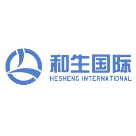 廣東和生投資有限公司 廣東和生投資有限公司