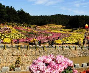 五腦山國家森林公園