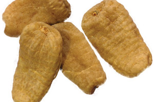 天麻首烏炒肝心