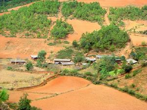 白楊坪自然村 白楊坪自然村