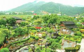 清遠清新溫泉旅遊度假區 清遠清新溫泉旅遊度假區