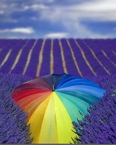 Q迅家園 Q迅家園