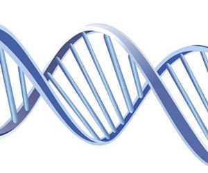 基因解碼器 基因解碼器