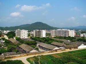 容縣楊梅中學 容縣楊梅中學