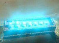 七節龍骨 七節龍骨