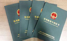 專利審查 專利審查