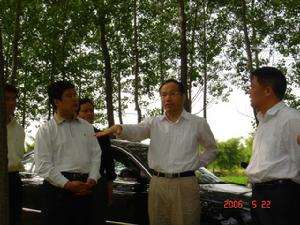 不成熟-成熟理論