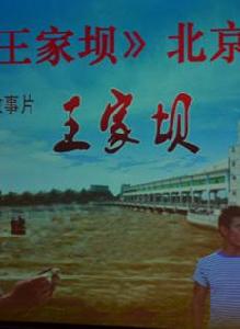 王家壩[電影王家壩]