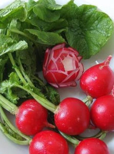 櫻桃蘿蔔 櫻桃蘿蔔