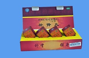 日通補腎丸 日通補腎丸