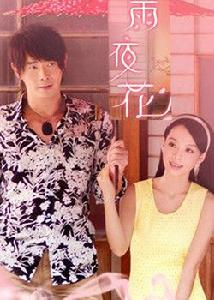 雨夜花[黃品源、張本渝主演電視劇]