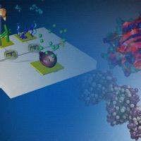 生物電子學 生物電子學