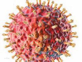 消化鏈球菌屬 消化鏈球菌屬