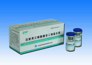 注射用三磷酸腺苷二鈉氯化鎂 注射用三磷酸腺苷二鈉氯化鎂