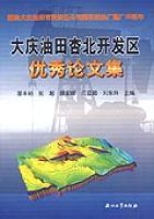 大慶油田杏北開發區優秀論文集 大慶油田杏北開發區優秀論文集