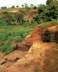 古印度文明之謎