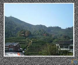 賀州龍井村景區 賀州龍井村景區