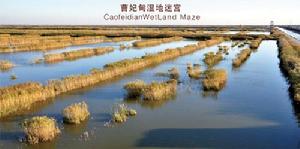 曹妃甸濕地迷宮