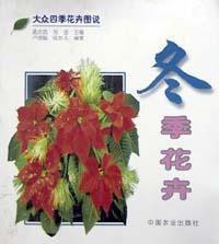 冬季花卉 冬季花卉