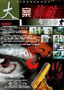 大案偵破警示錄