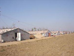 五里屯村 五里屯村