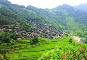 季刀苗寨 季刀苗寨