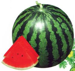 京欣七號 京欣七號