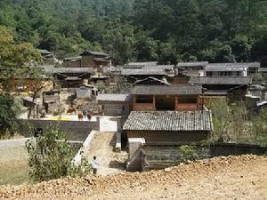 綠柴沖村 綠柴沖村